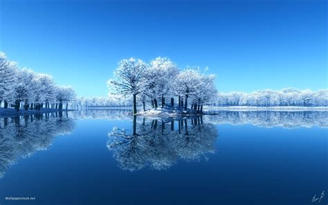 Gorgeous Winter Scene Wallpapers Wallpaper Cave
