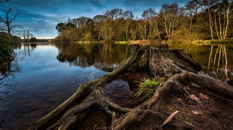 nature, Landscape, Lake, Water, Trees, Reflection, Clouds, Forest ...