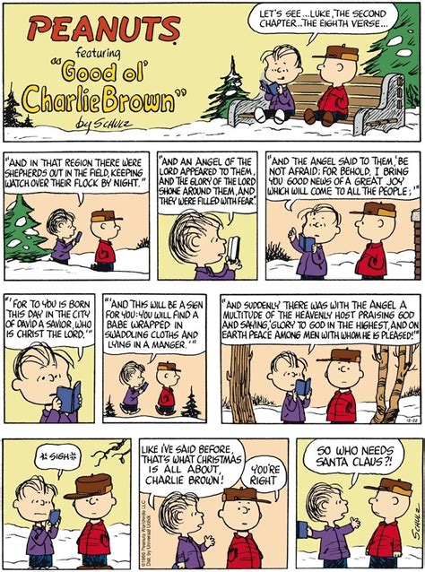 The Meaning Of Christmasfrom Charlie Brown And Linus Van