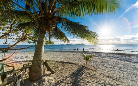 X Nature Landscape Tropical Beach Sea Palm Trees Bench Summer