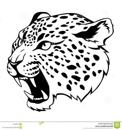 Jaguar Head Clipart 10 Free Cliparts Download Images On Clipground 2024