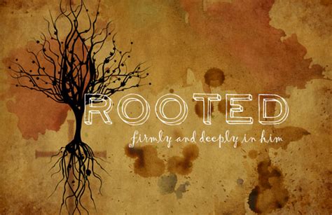 Rooted More Deeply And Firmly In Christ