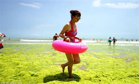 Green Algae And Chinese Tourists Descend On Qingdao Beaches In Summer