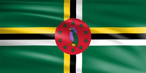 The first written records in the history of dominica began in november 1493, when christopher columbus spotted the island. The Flag of the Commonwealth of Dominica | Wagrati