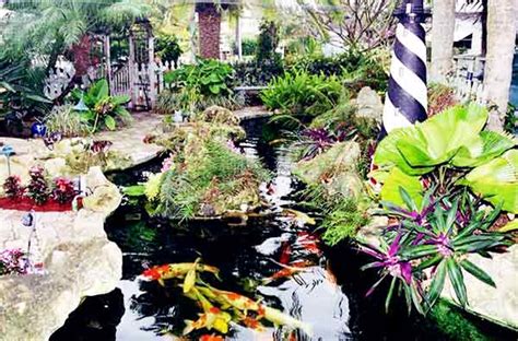 10 Desain Kolam Ikan Hias Depan Rumah Idaman ~ Taman Rumah