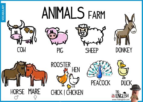 Vocabulary Of Animals In English Farm Animals Farm Vocabulary