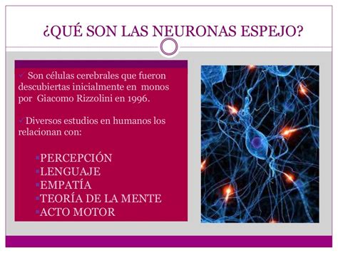 Neuronas Espejo