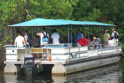 Black River Safari Tour From Montego Bay Triphobo
