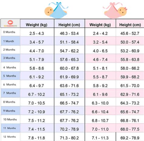 Average Weight Of Newborn Baby Your Baby S Growth Track
