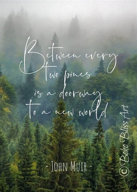 John Muir Quote Between Every Two Pine Trees There Is A Door Etsy