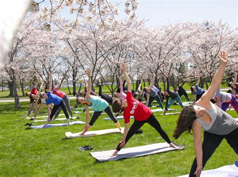 Cherry Blossom Yoga Held At Brock The Brock News