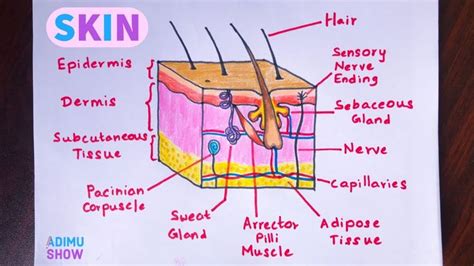 Nursing Drawing Easy How To Draw A Nurse Dozorisozo