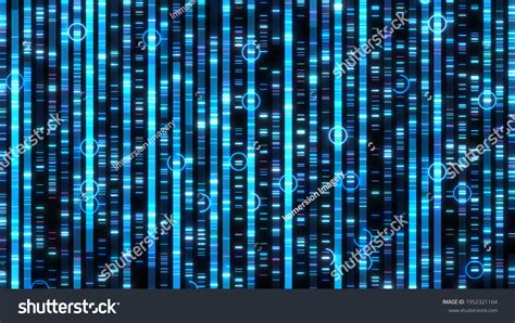 Genome Sequencing Determine Nucleotide Sequence Dna Stock Illustration
