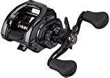 Best Baitcasting Reel For Beginners 2021 Review Guide