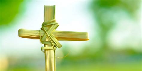 Palm Sunday Of The Passion Of Our Lord Year A Small Christian