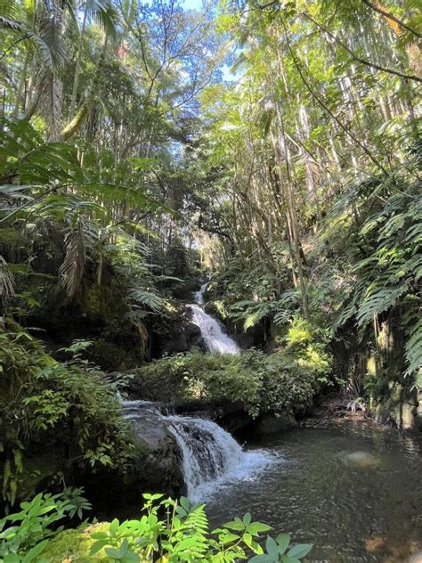 Hawaii Tropical Botanical Garden Best Things To Do In Hilo Hi