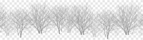 Brown Bare Trees Illustration White Black Snow Bifurcated Dead Tree