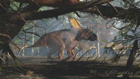 Top 10 Ceratopsians Paleontology World
