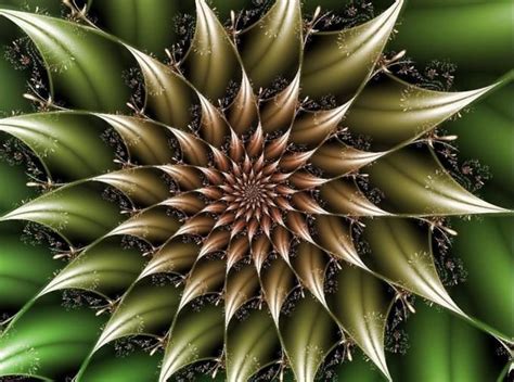 ¿qué Son Los Fractales Fractal Art Fractal Images Geometry In Nature