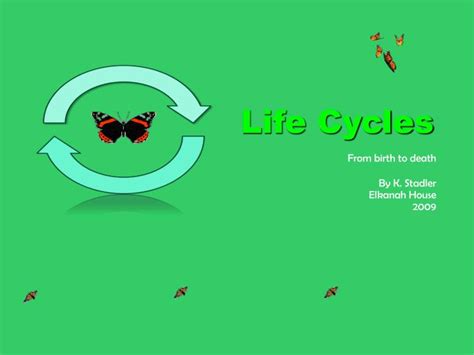 Ppt Life Cycles Powerpoint Presentation Free Download Id6587197