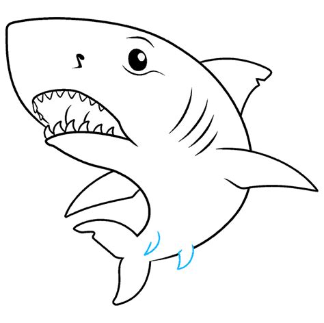 How To Draw Great White Sharks