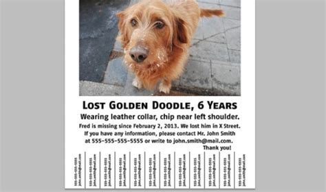 When you are designing a lost cat poster to help you find the missing cat, you have to be very careful with how you go about the. The Dos and Don'ts of Making a Lost Dog Flyer