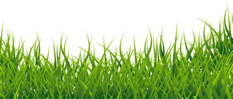 Free Cliparts Grass Border, Download Free Cliparts Grass Border png png image