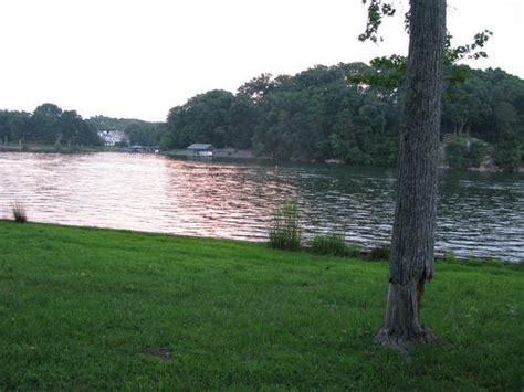 A group of teens are at a lakeside camp trying to get everything ready for it to. Lake View from the Cabin - Sour Cherry Farm