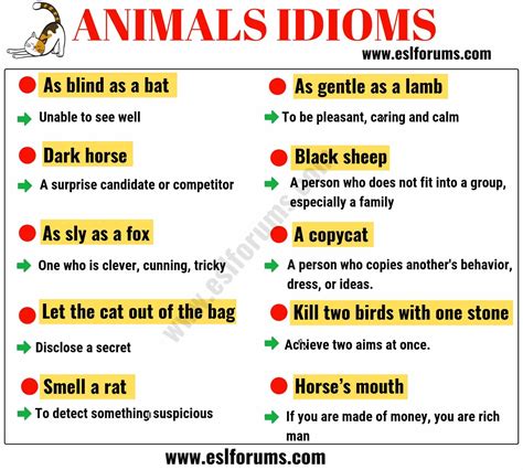 English Idioms: Learn English Idioms with Topics - ESLBuzz Learning English