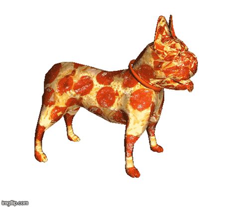 Pizza Dog Imgflip