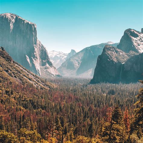 Forest Mountain Yosemite Valley 5k Ipad Air Wallpapers Free Download