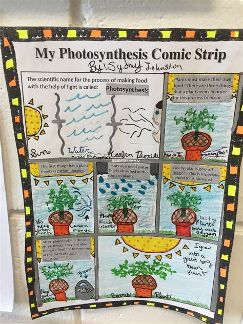 Mrs Halls Classroom Blog Photosynthesis Comic Strip Samples