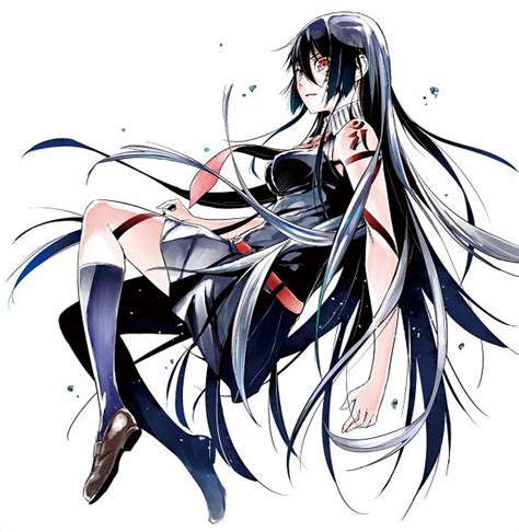 Akame Akame Ga Kill Image By Strelka 2483558 Zerochan Anime Image