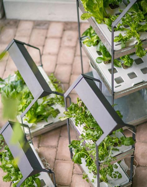 As you begin, you'll want to do a bit of research. Masterful recorded aquaponic DIY | Hydroponic gardening, Home hydroponics, Indoor garden