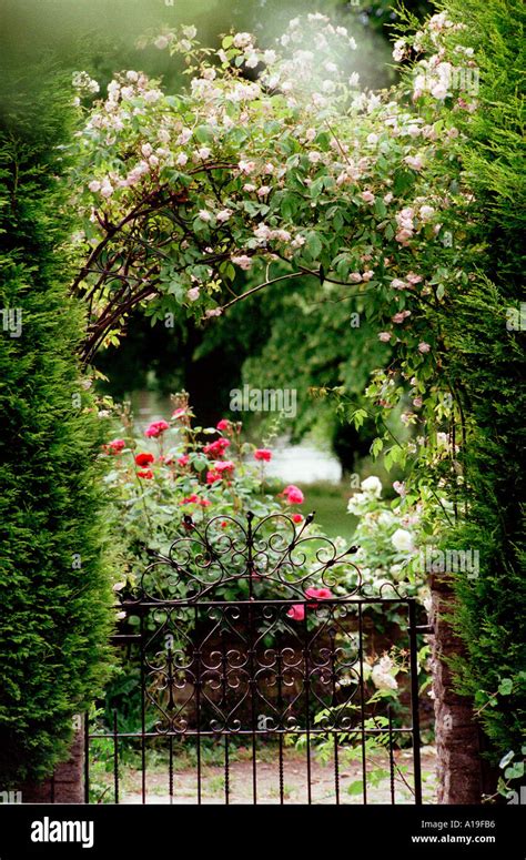 Garden Gate With Climbing Roses And Rose Bushes Beyond Stock Photo Alamy