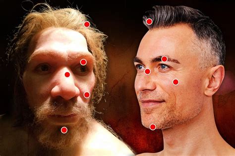 how neanderthal are you skull bumps long noses and fabulous hair among traits inherited from