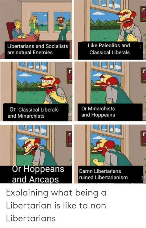 Explaining What Being A Libertarian Is Like To Non Libertarians