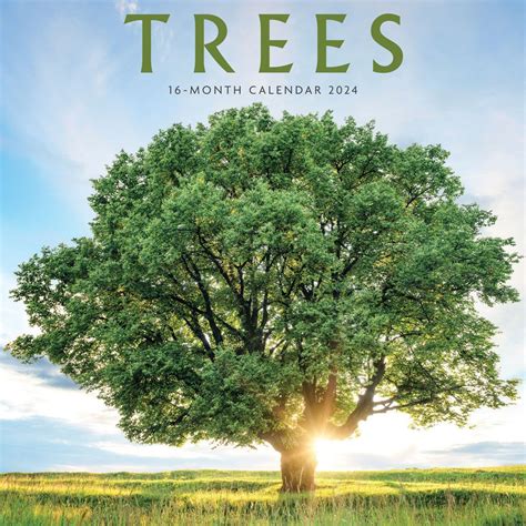 Trees 2024 Wall Calendar