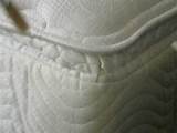 Pictures of Mattress Cover Kill Bed Bugs
