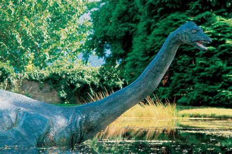 A 30ft (9m) model of the loch ness monster built in 1969 for a sherlock holmes movie has been found almost 50 years after it sank in the loch. Nessie - Das Ungeheuer von Loch Ness | VisitScotland