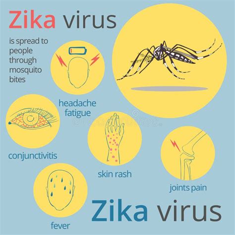 Zika Virus Symptome Infographics Vektor Abbildung Illustration Von Hintergrund Konzept