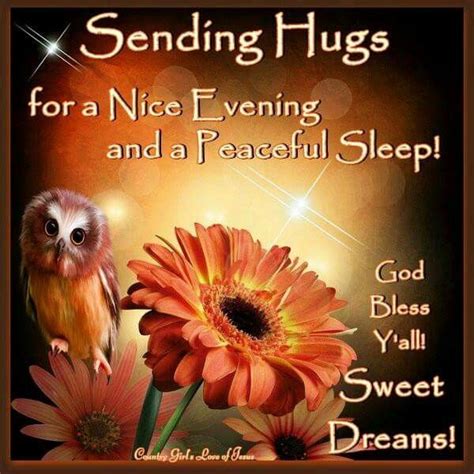 Pin By Bridgette Wright On Sweet Dreams Sending Hugs Good Night