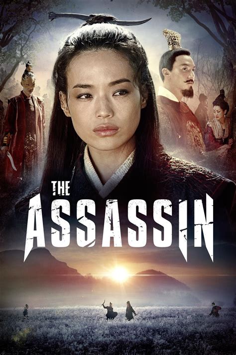 the assassin 2015 posters — the movie database tmdb