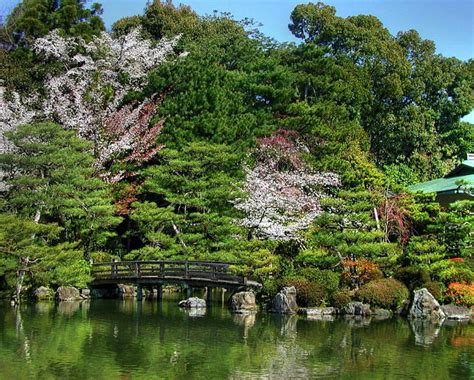 Japanese Garden Sakura Art Bonito Park Garden Stones Water