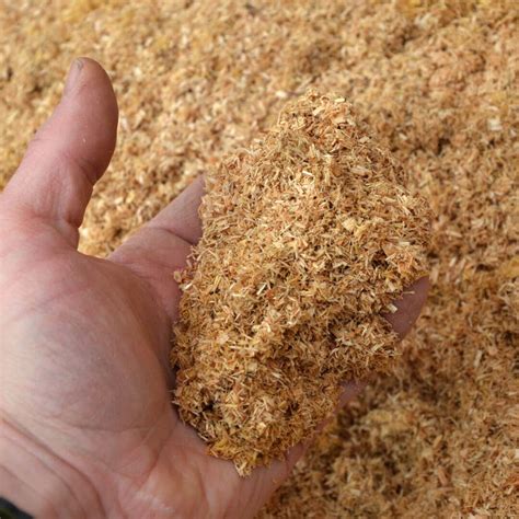 Sawdust Co2 Biomass