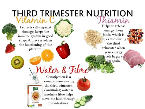 Meat in pregnancy diet for the first trimester. Diets during pregnancy - Hasnain Zaki