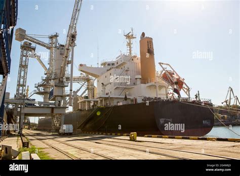 Panamax Bulk Carrier Loaded With Wheat Ship At Grain Terminal Port