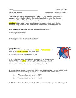 Student exploration human karyotyping answer sheet. Introduction to Functions