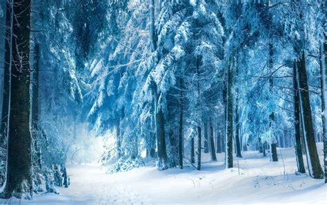 Blue Winter Wallpapers Top Free Blue Winter Backgrounds Wallpaperaccess