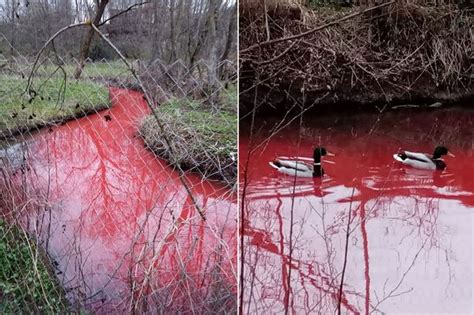 River In Israel Turns Red With Blood Like Biblical Plague Of Egypt